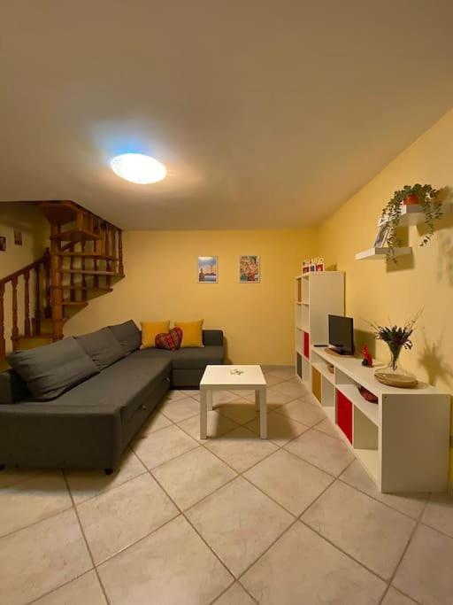 Steps House *